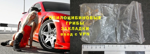 гидра Белая Холуница