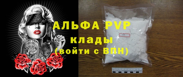 винт Бородино