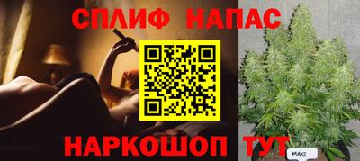 индика Аргун