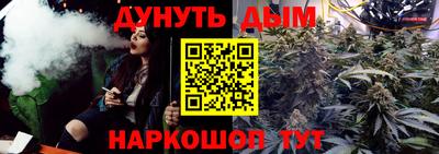 индика Аргун