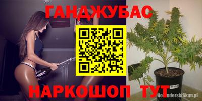 индика Аргун