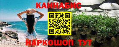 индика Аргун