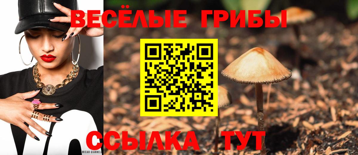 Псилоцибиновые грибы Cubensis Видное