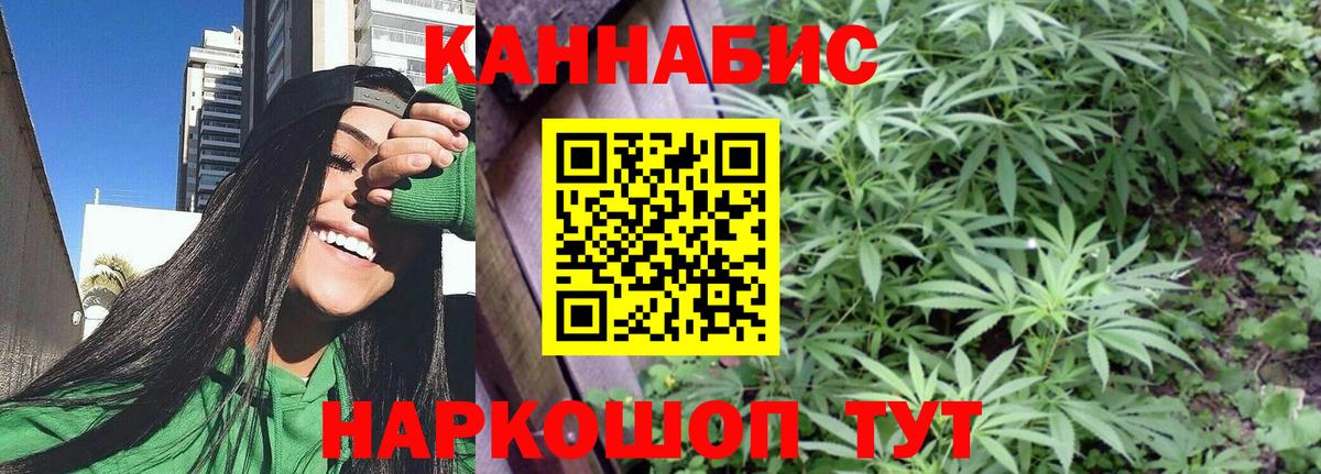 Канабис White Widow Видное